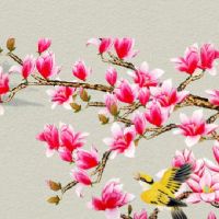 2022年11月1日生肖冲煞: 今日冲什么生肖