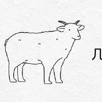 羊出生几天最好的生活是富有的
