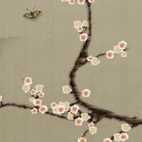 车牌号不吉利如何化解 车牌号吉凶怎么破解