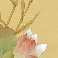 车牌号尾号是零的好不好 吉利号码的数字解析