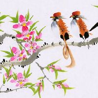 本命年开红色的车好吗 属虎人开黑色的车提升气场