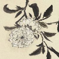 生肖牛2022红鸾入命 红鸾星入命宫且无煞者