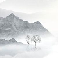 禄存星在夫妻宫是官妻 禄存若无主星做靠山