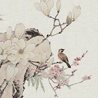 1980年属猴的是木命还是金命 金猴之命事业心强