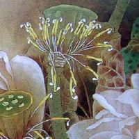 1980年属猴一生大劫年 两次劫难化解轻易