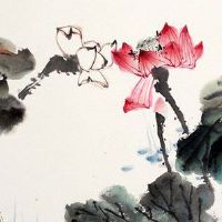 1980年属猴⼀⽣财运 中年财运指数最⾼