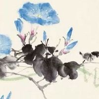 86年属虎生虎宝宝好不好 生猪宝宝好运加倍