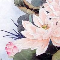 92年⼥属猴的⼀⽣婚姻 水猴22年有贵人相助