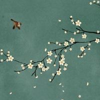 羊和牛在一起对谁不利 生肖牛让属羊人畏缩不前