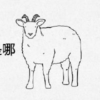 79哪一年属羊桃花运最旺？
