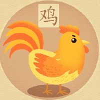 属鸡和属鸡的适合做夫妻吗