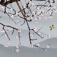 车牌尾号57的好不好 最准车牌号码吉凶解读