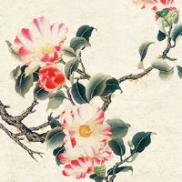 1986属虎的人适合红色吗 中年虎穿红兴旺长虹