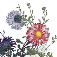 巨门在夫妻宫配偶家境 命宫有武曲天府之人