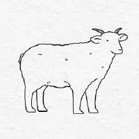 79年属羊人哪年转运？
