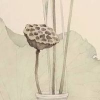 禄存星在夫妻宫 禄存若无主星做靠山