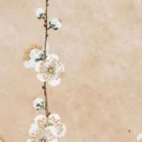 夫妻宫有天梁星的女命 天梁星坐夫妻宫遇化权化禄