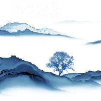 生肖冲煞情况一览:2022年11月14日冲什么生肖