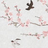 生肖冲煞情况一览:2022年11月20日冲什么生肖