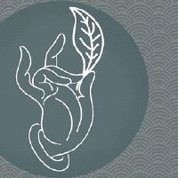 中国十大传统文化的象征都有哪些