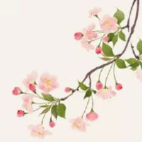 廉贞星在夫妻宫 五行属性寅申宫廉贞独守