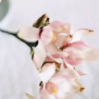 出生年月算你俩缘分 算缘分具体方法介绍