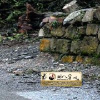 94年属狗2022年运势及婚缘详尽分析