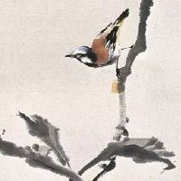 十灵日出生的人多吗 十灵日中哪一天最好