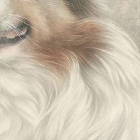 十一月初四母亲节后一天修坟好么,美国感恩节吃啥？