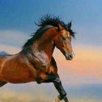 属马人2022年6月份运势及运程完整版解析