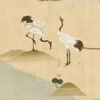 五行穿衣每日分享:2022年11月1日穿什么颜色提运