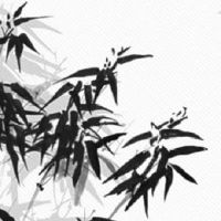 车牌号有59数字好不好 车牌数字凶吉对照