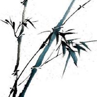 98年属虎女一生的婚姻 属狗男和属马男适合属虎女