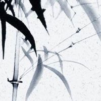 好听的未注册的公司名推荐 企业取有档次的好名