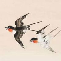 每日五行穿衣:2022年11月7日立冬穿什么颜色旺运