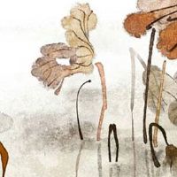 今日五行穿衣色查询:2022年11月11日幸运色指南