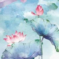 寓意比较好的五位数 5位数车牌号码大全