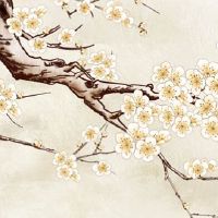 本命年路路通放几粒好 本命年路路通带几个