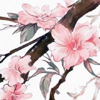 335车牌号最佳寓意 热门车牌数字与字母