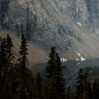 属龙跟属羊的合适生虎宝宝吗
