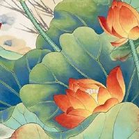 八卦和八卦镜有什么区别 八卦镜非招财吉祥物