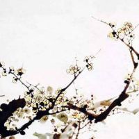 属虎的跟哪个属性不合 一山不容二虎