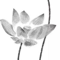 车牌号59是什么意思 节节攀升的车牌号码