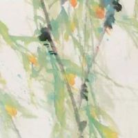 车牌号55的车牌号好不好 五行对应吉祥牌号