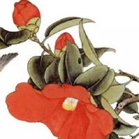 如何选5位数字汽车牌号 字母选择不带Y