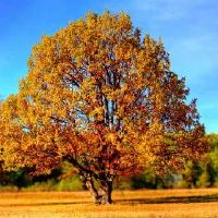 2022年男宝名字大全 男孩属虎起一个寓意好的名字