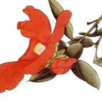 易经最吉利的数字是54 盘点车牌号聚财吉祥