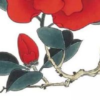 车牌号59结尾好不好 为什么59是吉利的数字