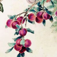 家具取名字大全热门 经典好听的家具厂起名合集