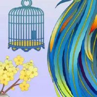 5个纯数字的车牌值多少钱 吉利生活的号码